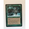 MAGIC THE GATHERING - 2 HALF SETS - DIRE WOLVES X 2 - MERSEINE X 2 - 4 CARDS