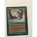 MAGIC THE GATHERING - LAT-NAM`S LEGACY X 2 -  FERAL THALLID X 2 -  4 CARDS