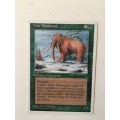 MAGIC THE GATHERING - AWESOME PRESENCE X 2 - WAR MAMMOTH X 2 - 4 CARDS