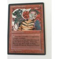 MAGIC THE GATHERING - LOT OF 10 RANDOM CARDS R40 GET YOURS NOW