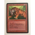 MAGIC THE GATHERING LOT OF 7 CARDS FOR R28 GET YOURS NOW!!!!!
