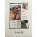 LOVELY MAGAZINE - ANIMAL W0RLD - NO. 14 - TIGERS - 1993