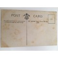 VINTAGE TO ANTIQUE POST CARD