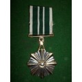 '' RARE " ... FULL SIZE .. SA Prison services merit medal  to Officers. Named