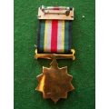 South Africa Emergency services, 10 year service medal (full size)