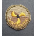** Pre-1994 South African Police (S.A.P) Camo Waterwing Badge .**