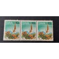 ** 1973 SWA 10c Gasteria Pillansii Block Stamps (Unused).**