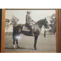 ** 1930s Special Service Battalion (SSB) Mounted Officer Large Framed Photograph (53cm x 45cm).**