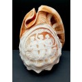 ** STUNNING: 1900s Art Nouveau Handcarved Cameo Scene Conch Shell (19cm x 12cm).**