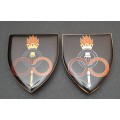 ** Border War : 1970s SADF Services School Lucite Flash Pair (All Pins).**