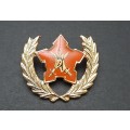 **Border War : 1980s SADF 5-Year Volunteer Metal Badge (All Pins)**