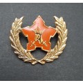 **Border War : 1980s SADF 5-Year Volunteer Metal Badge (All Pins)**