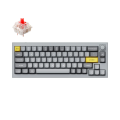 Keychron Q2 65% Red G Pro Switches Aluminum RGB Wired Mechanical Keyboard - Grey (Knobbed Version)