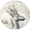 1966 : Rep. S.A : One Rand : Afrikaans : "Taggear" ear, Coin in AUNC Conditions? As per Photo.