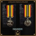SADF : The Southern Africa Medal  : NUMBERED 56482 : FULL SIZE : As Per Photo.