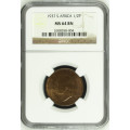 1937 UNION SA 1/2 PENNY - MS64BN - NGC 2ND FINEST KNOWN GRADE - LOW MINTAGE 638,256