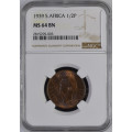 1939 UNION SA 1/2 PENNY - MS64BN - NGC 2ND FINEST GRADE - ONLY 3 IN MS65 - LOW MINTAGE 270,970