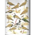 The Birds of Africa - Volume 2