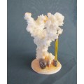 CORAL ORNAMENT on SHELL BASE=Natural Coral=Seahorse=Shells=REEF=SEA.