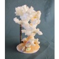 CORAL ORNAMENT on SHELL BASE=Natural Coral=Seahorse=Shells=REEF=SEA.