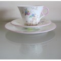 SHELLEY WILD FLOWERS Trio `IDEAL CHINA` WR076 Pink Rims Unusual and Beautiful!!!!!