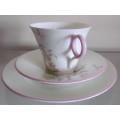 SHELLEY WILD FLOWERS Trio `IDEAL CHINA` WR076 Pink Rims Unusual and Beautiful!!!!!