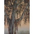 LOUISE REPSOLD Oil Painting `THE GUMTREE` South African Artist Framed 476mm x 782mm high AWESOME!!!