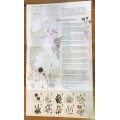 ROYAL MAIL UMM PRESENTATION PACK PLANTS UK species in recovery MINIATURE SHEET KEW BOTANICAL GARDENS