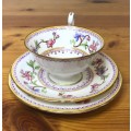 ROYAL WORCESTER=DATES to 1900=TEA TRIO=RARE=119 YEARS OLD!!=2411 PATTERN=FLORAL=FLOWERS=STUNNING!!=G