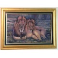 OIL PAINTING LIONS 2 MALES SOUTH AFRICAN ARTIST ENID DUTTON LARGE FRAMED BIG FIVE!!!