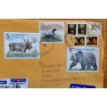 CANADA 2 x AIRMAIL LETTERS CASTLEWOOD to JOHANNESBURG MOOSE POLAR GRIZZLY BEAR FALCON LOON BIRD 2008