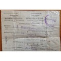 MOTOR VEHICLE LICENCE 1944 KARREEDOUW CAPE PROVINCE UNION of SOUTH AFRICA WWII 3d War Effort x 13.