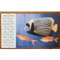 POSTCARD POST CARD SOUTH AFRICA BLOEMFONTEIN CALENDAR 2001 MARINE FISH EMPEROR ANGELGOLDIES FLOWERS