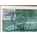 POSTCARD GREEN MAX. CARD ARGENTINA 1959 CROCODILE CAIMAN YACARE 1st SOUTH AMERICAN CONGRESS ZOOLOGY