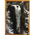 POSTCARD POST CARD BRACKENHILL FALLS KNYSNA AREA WITELSRIVIER NOETSIE RIVER BLACK + WHITE REAL PHOTO