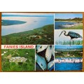 POSTCARD RSA NATAL ST. LUCIA FANIES ISLAND LACIA LAKE COUNTRYSIDE RHINO PARKS BOARD BIRDS BOATS FISH