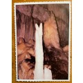SOUTH AFRICA OLD POST OFFICE TREE SPECIAL DATE STAMP MOSSEL BAY 1987 POSTCARD CANGO CAVES OUDTSHOORN