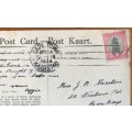 POSTCARD POST CARD POSKAART KING REED-HEN WATER BIRD CAPE TOWN 1934 SHIP