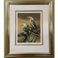 AWESOME REDBILLED HORNBILLS SIGNED LIMITED EDITION PRINT 287/350 RAY HARRIS-CHING NEW ZEALAND ARTIST