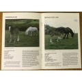 THE DORSET HEAVY HORSE CENTRE 1998 SOFTCOVER PRINTED IN ENGLAND STUNNING HORSES!!!!