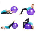 Gym Yoga Fitness Ball 60CM