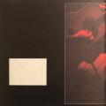 Graham Nash / David Crosby - GRAHAM NASH / DAVID CROSBY. Vinyl 33 rpm LP. Rock.(VG+/VG). USA release