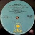 Bob Marley and The Wailers - SURVIVAL. 33 rpm 12` LP (VG+/VG) 1990. RSA. Scarce re - issue. Reggae