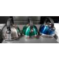 Whistling Stainless Steel Kettle- Clearance