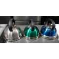 Whistling Stainless Steel Kettle- Clearance