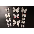 6x PVC 3d Butterfly wall stickers