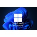 Windows 11 Professional - Genuine Lifetime 25 Digit License