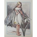 Fairy Cards (+free shipping)