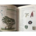 Field Guide to Acacias of East Africa