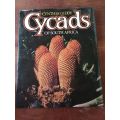 CYCADS OF SOUTH AFRICA - Cynthia Giddy